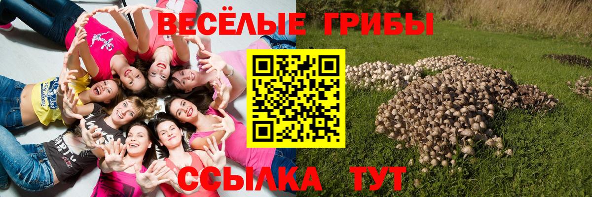 Псилоцибиновые грибы мухоморы  Галлюциногенные грибы GOLDEN TEACHER  Волгодонск  Вход с VPN 