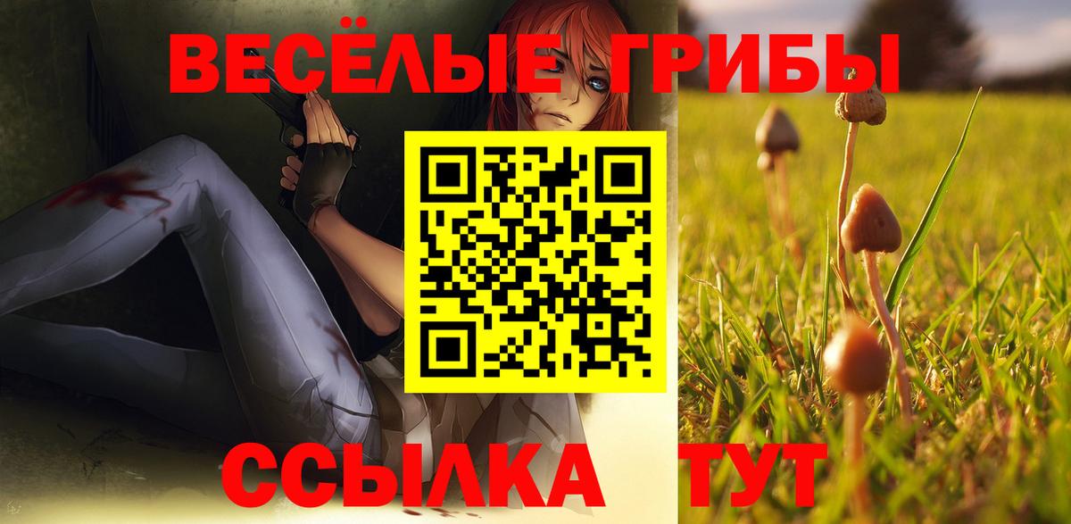 Псилоцибиновые грибы Psilocybine cubensis Волгодонск